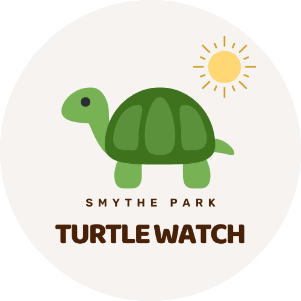 Smythe Park Turtle Watch